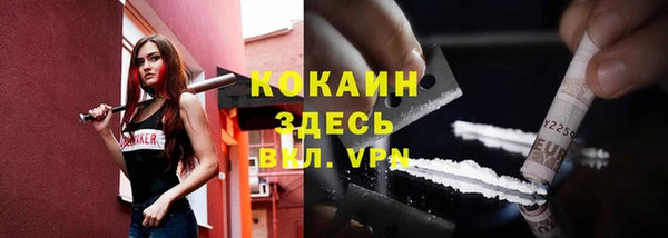 стаф Абаза