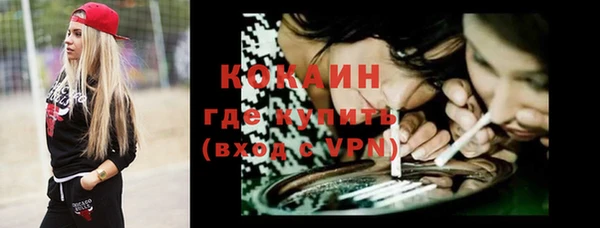 дмт Алексин