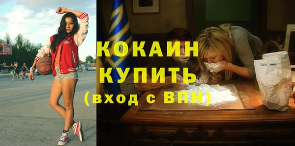 стаф Абаза