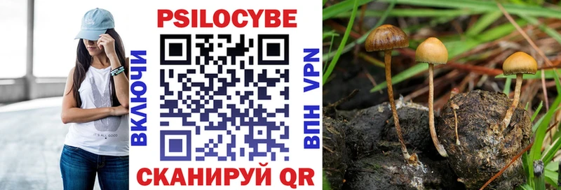 Псилоцибиновые грибы Cubensis  где купить   площадка наркотические препараты  Магнитогорск  MEGA маркетплейс 